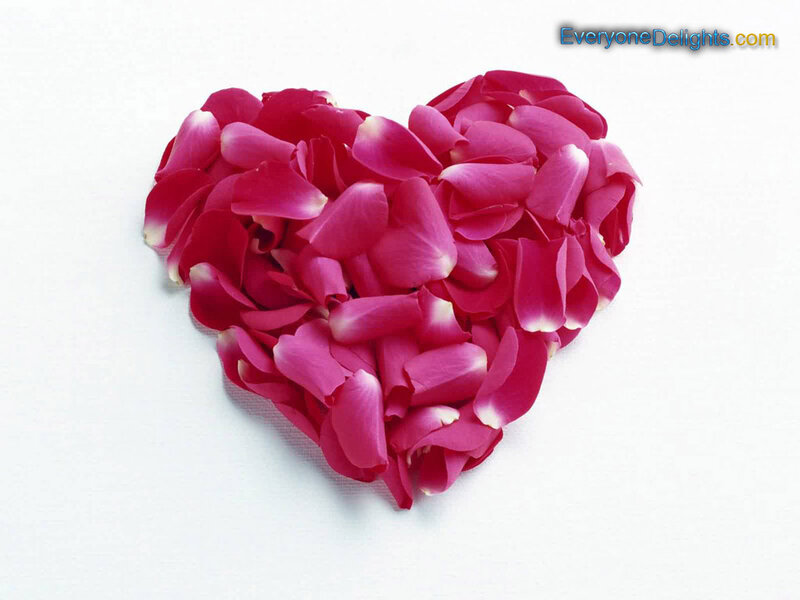 Rose Petals in Heart Shape — Pink, Calm