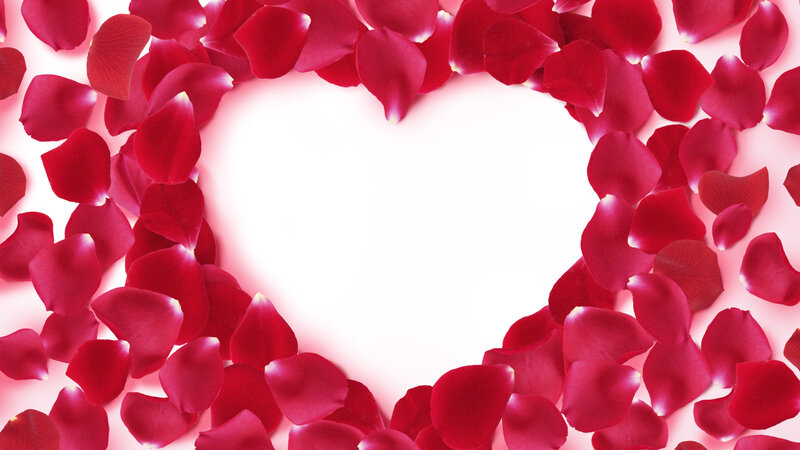 Rose Petals in Heart Shape — Red, Romantic