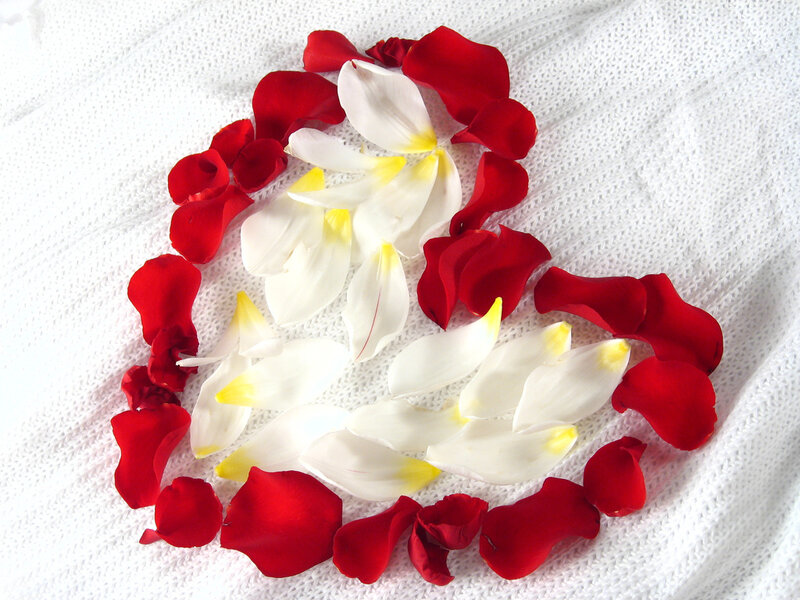 Rose Petals in Heart Shape — Red, Serene