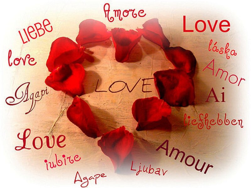 Rose Petals in Heart Shape — Red