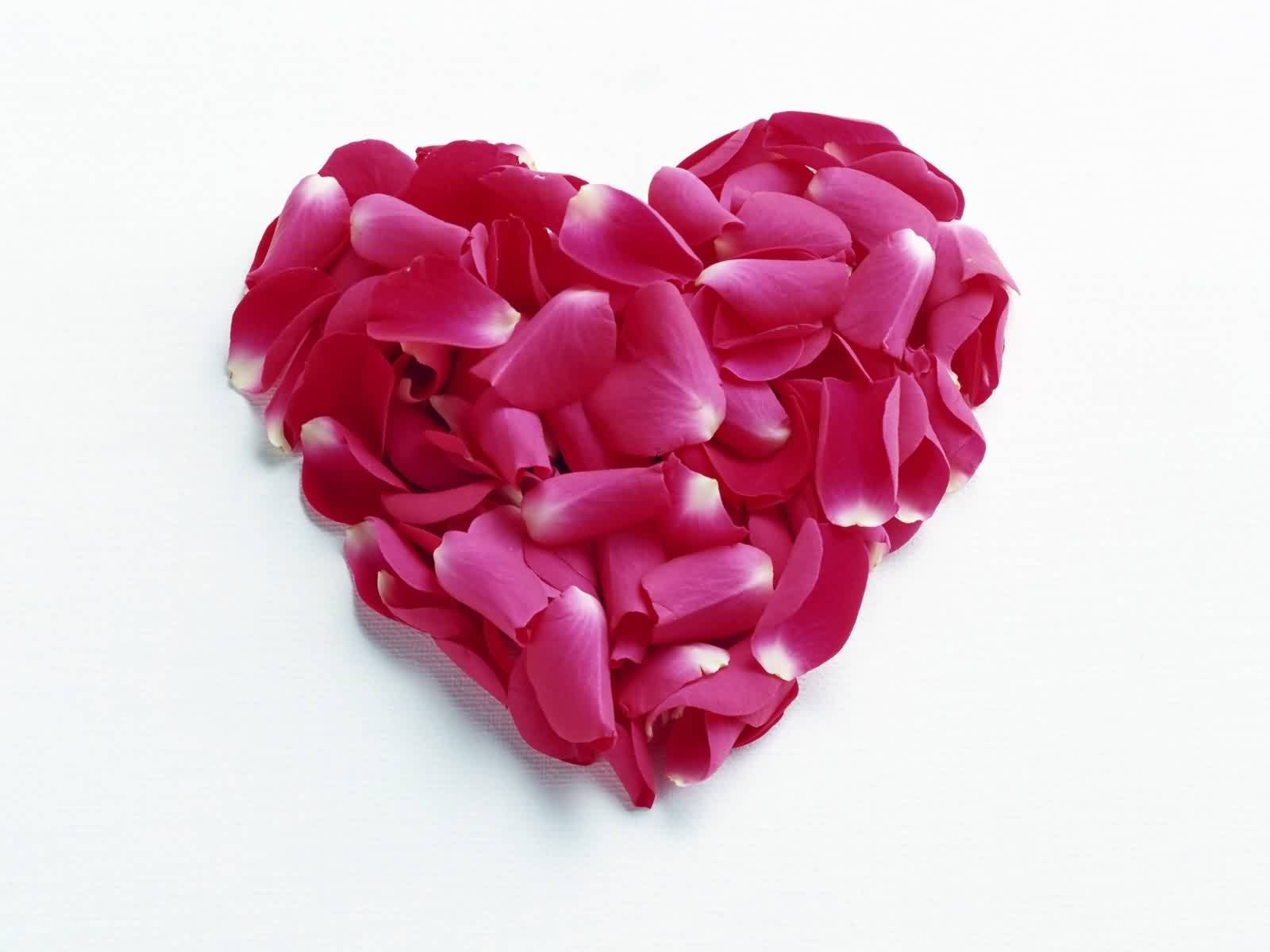 rose petals in heart shape