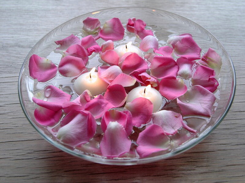 Rose Petals in Water — Pink, Serene