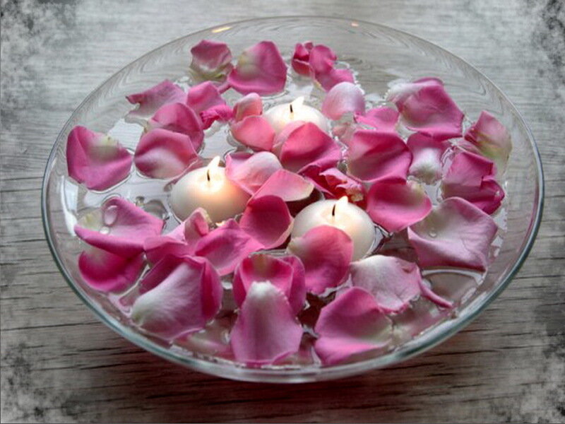 Rose Petals in Water — Pink