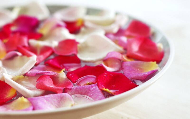 rose petals in water