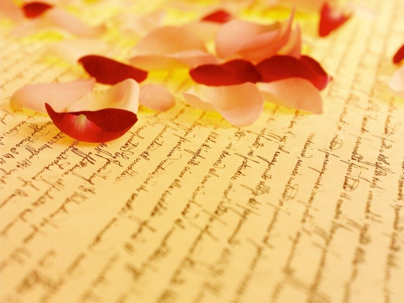rose petals on a letter