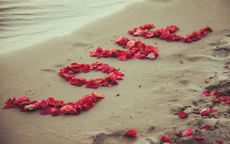 Rose Petals on Beach — Red