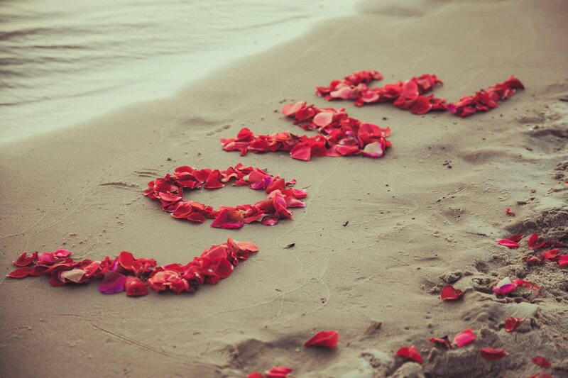 Rose Petals on Beach