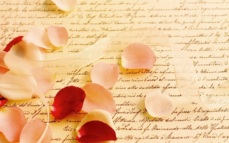 Rose Petals on Letter — Pink, Romantic, Photograph