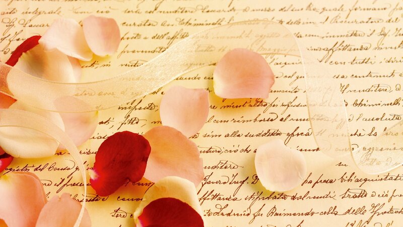 Rose Petals on Letter — Pink, Romantic