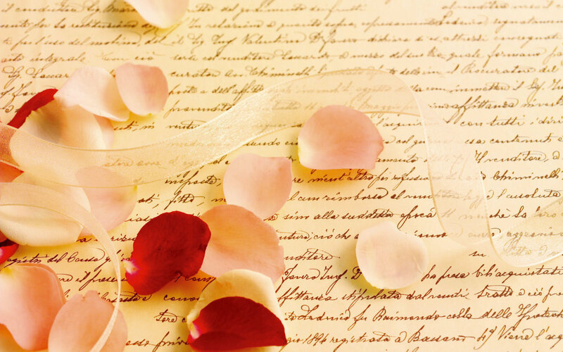 Rose Petals on Letter — Pink