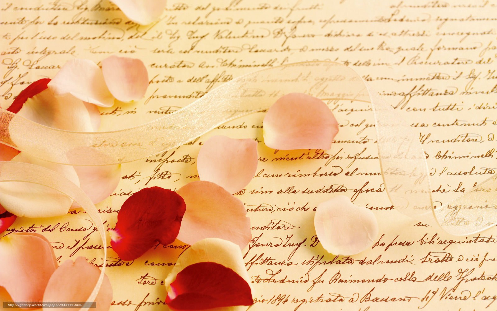 rose petals on old letter