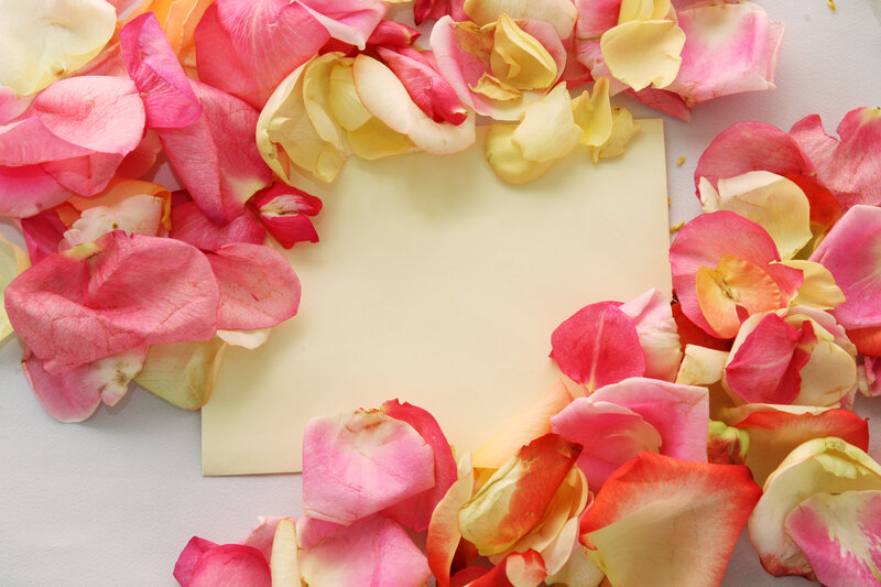 Rose Petals on Paper