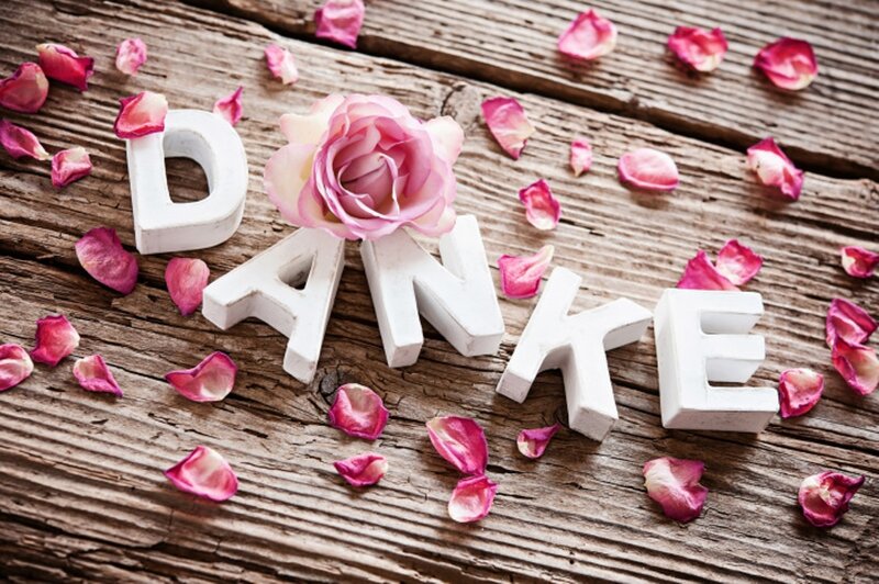 Rose Petals on Wood