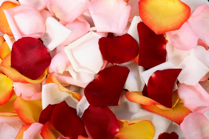 Rose Petals