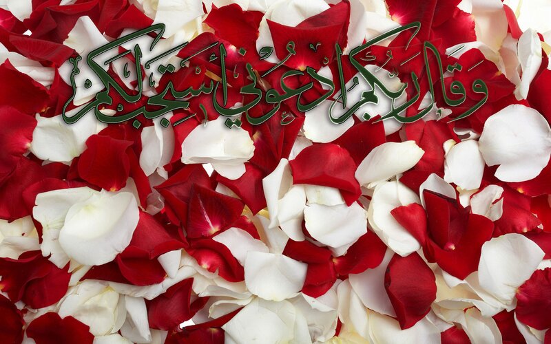 rose petals with arabic text