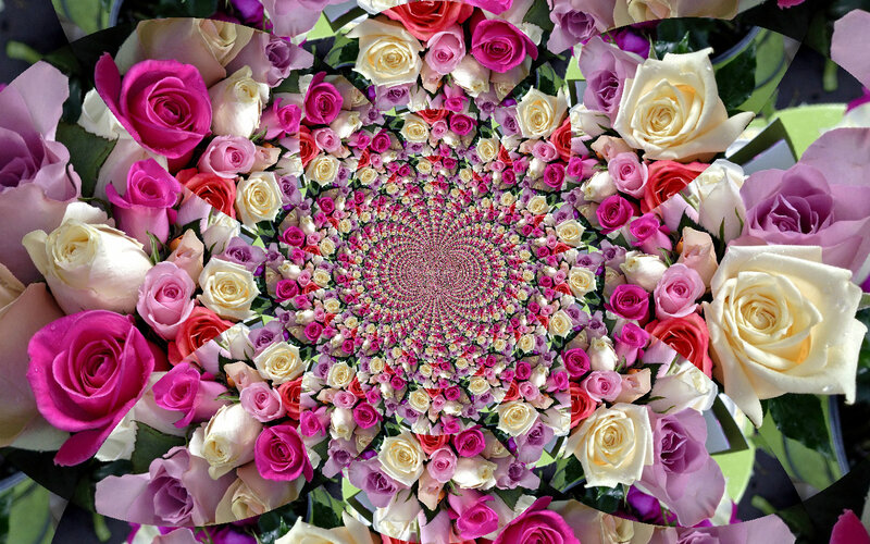 Rose Spiral Pattern