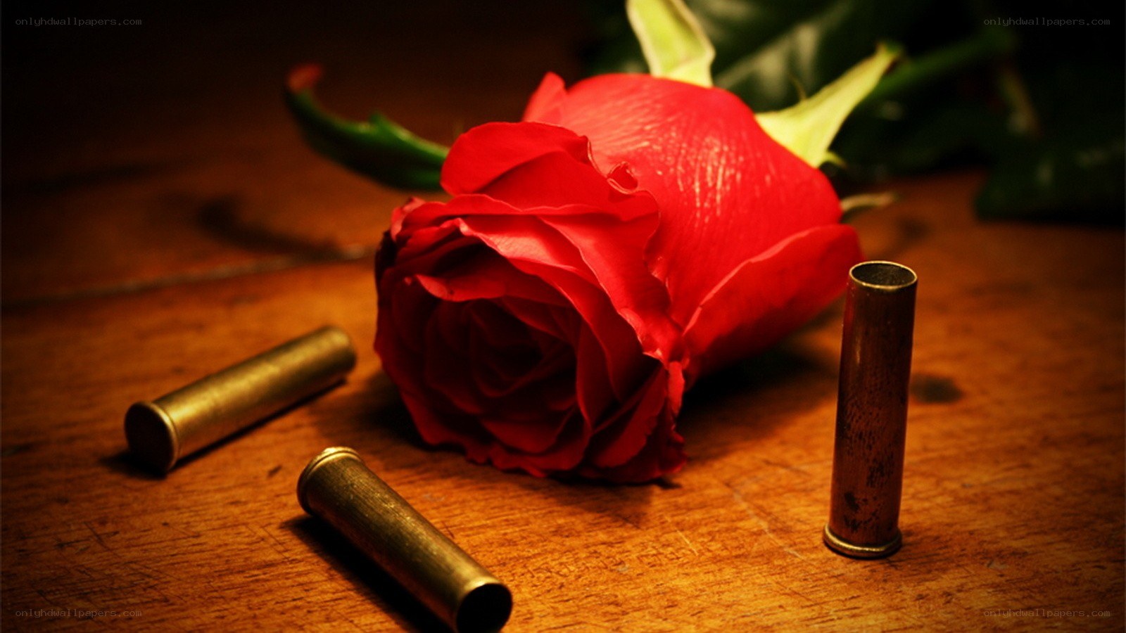 rose with bullet casings