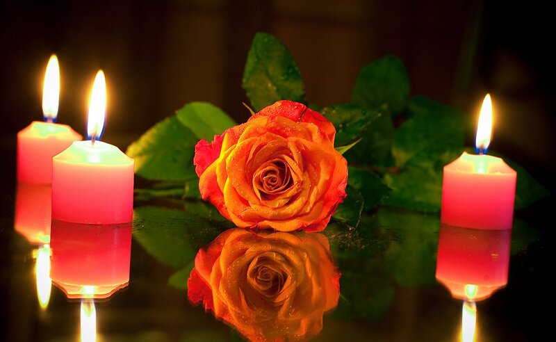 Rose with Candles