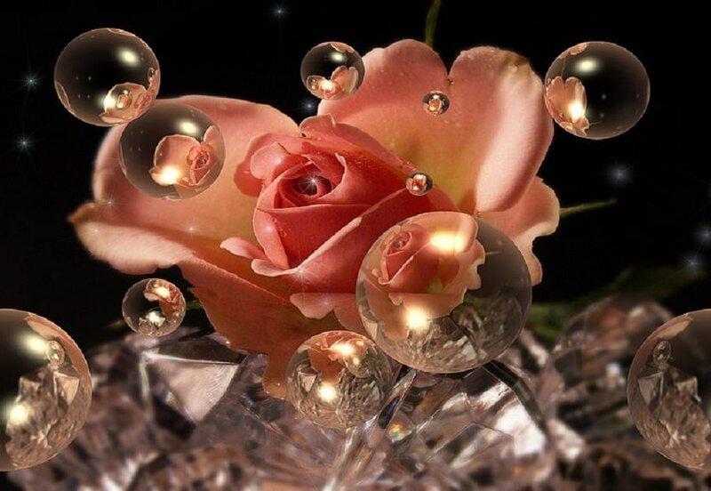 Rose with crystal bubbles