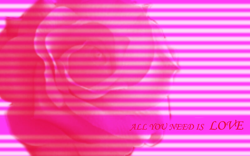 rose with love message
