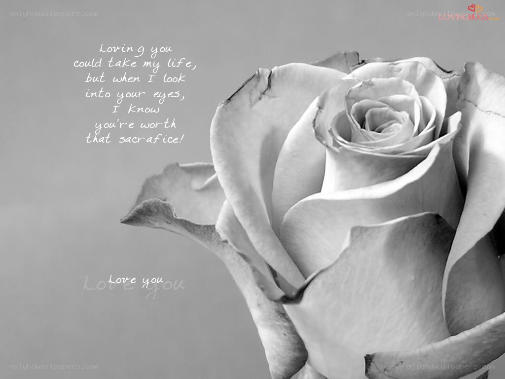 rose with love quote