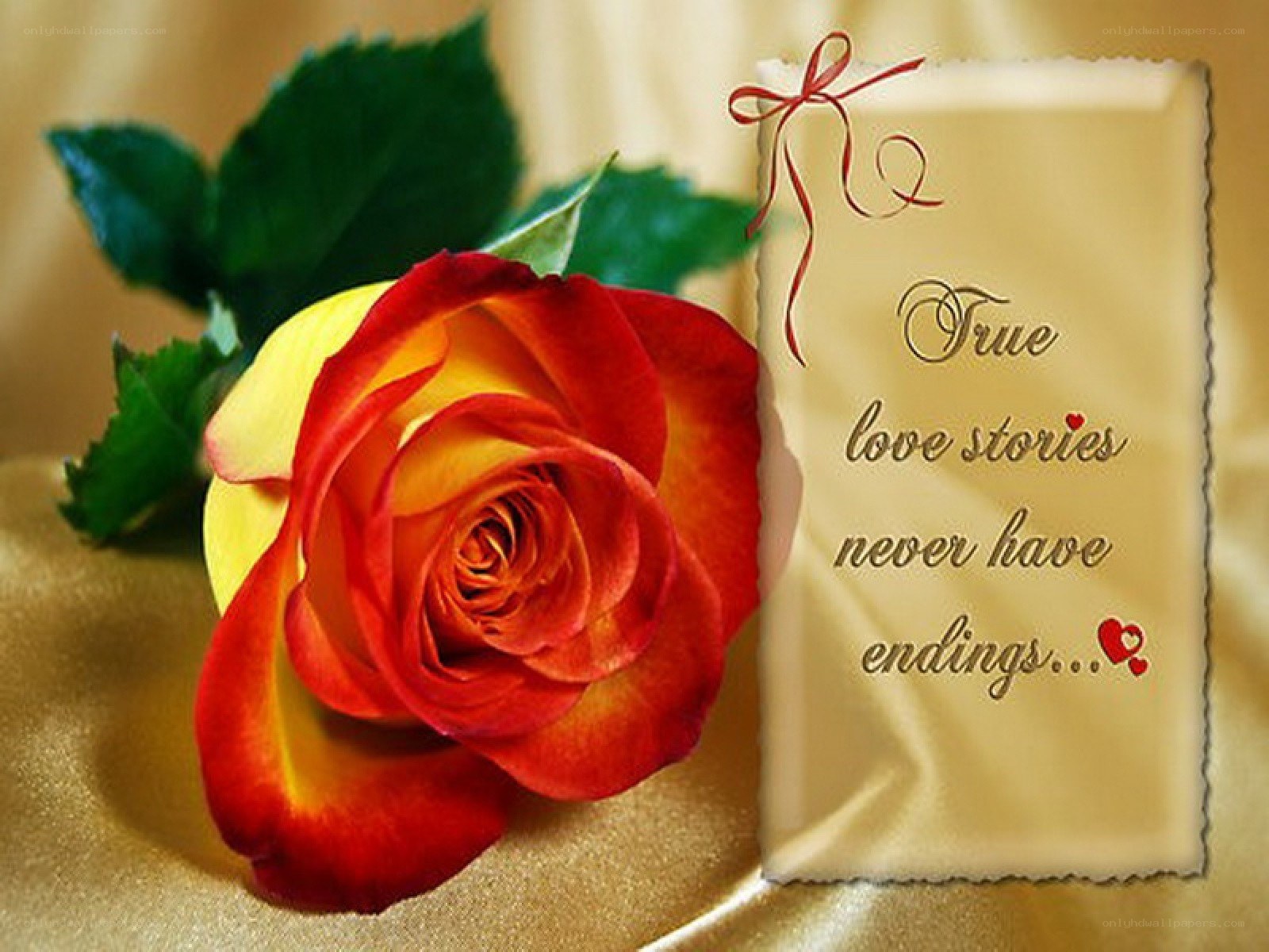 rose with love quote