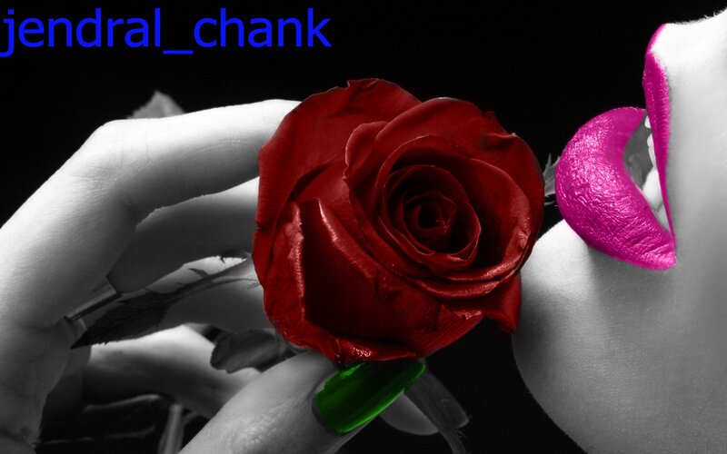 rose with pink lips