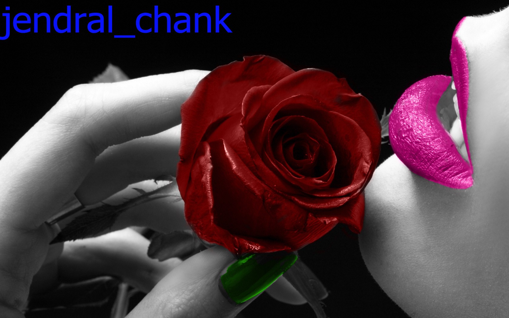 rose with pink lips