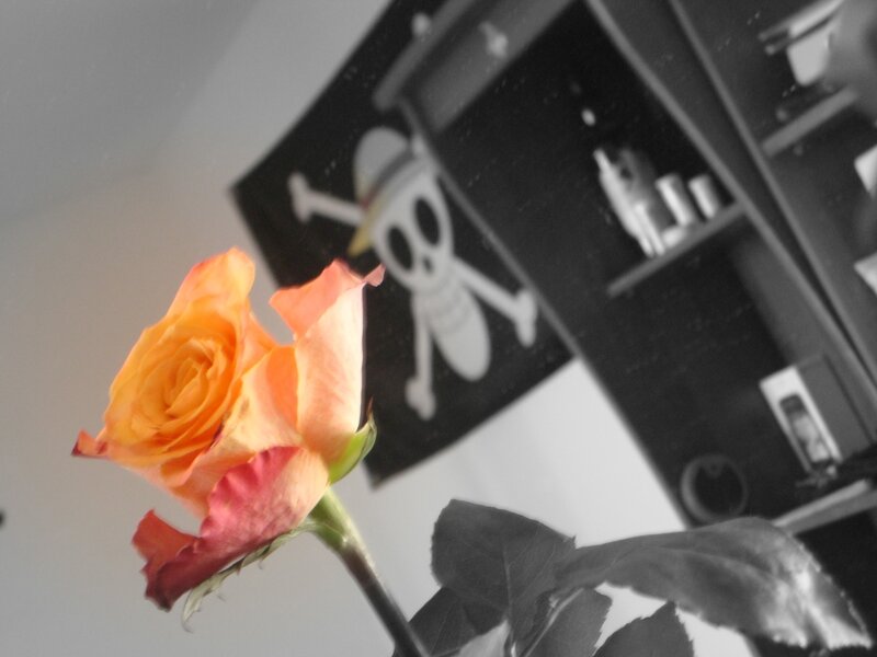 rose with pirate flag