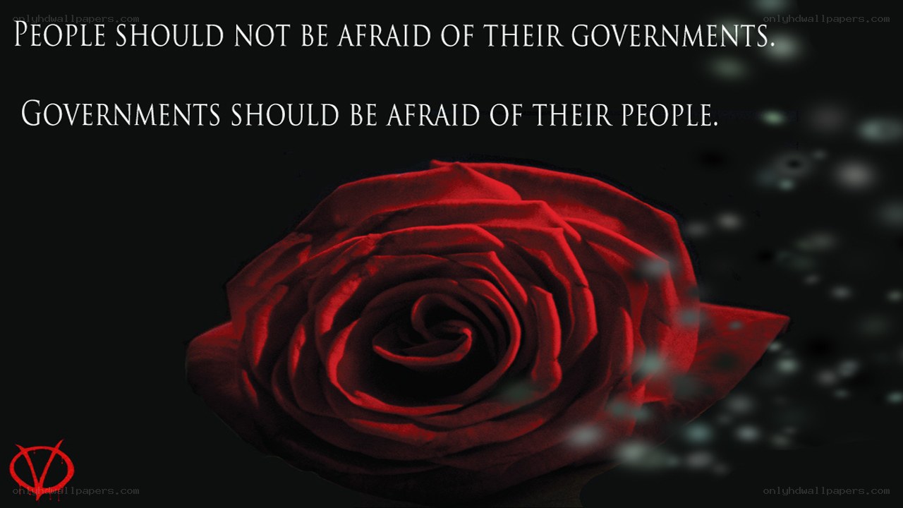 Rose with political quote