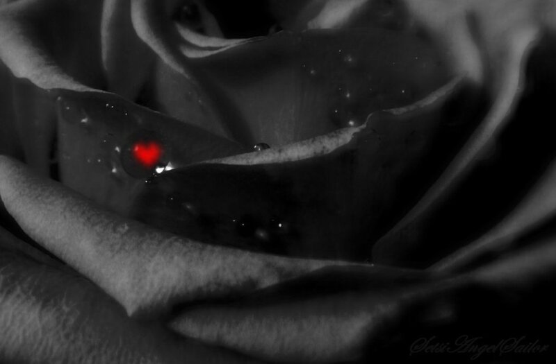 Rose with Red Heart