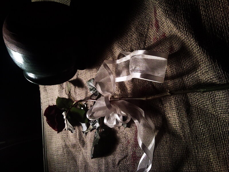 rose with ribbon on burlap