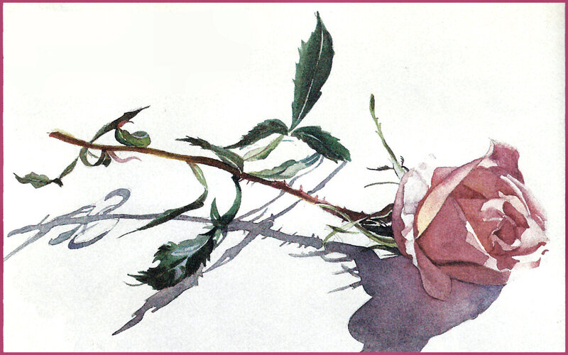 Rose with Stem and Leaves