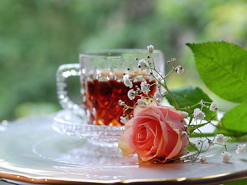 Rose with Tea Cup