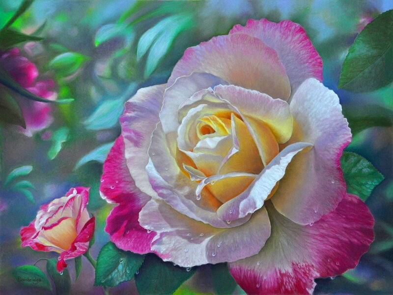 Rose with Water Droplets — Pink, Serene, Painting