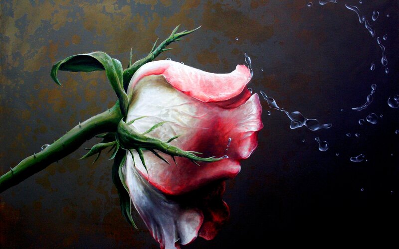 Rose with Water Droplets — Red, Dramatic