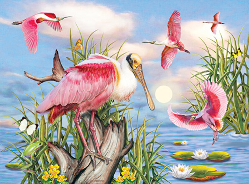 Roseate Spoonbills