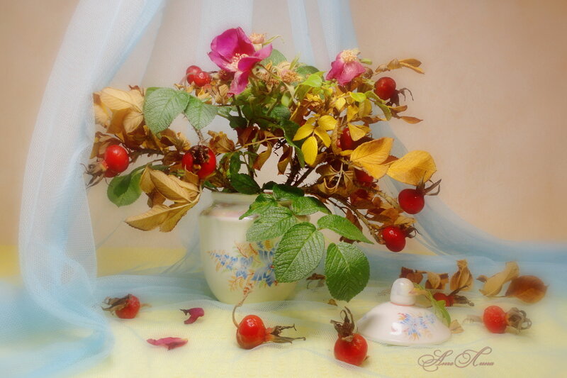 Rosehip Branches in Vase