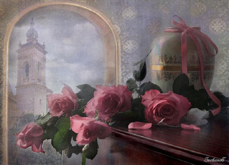 Roses and a church window