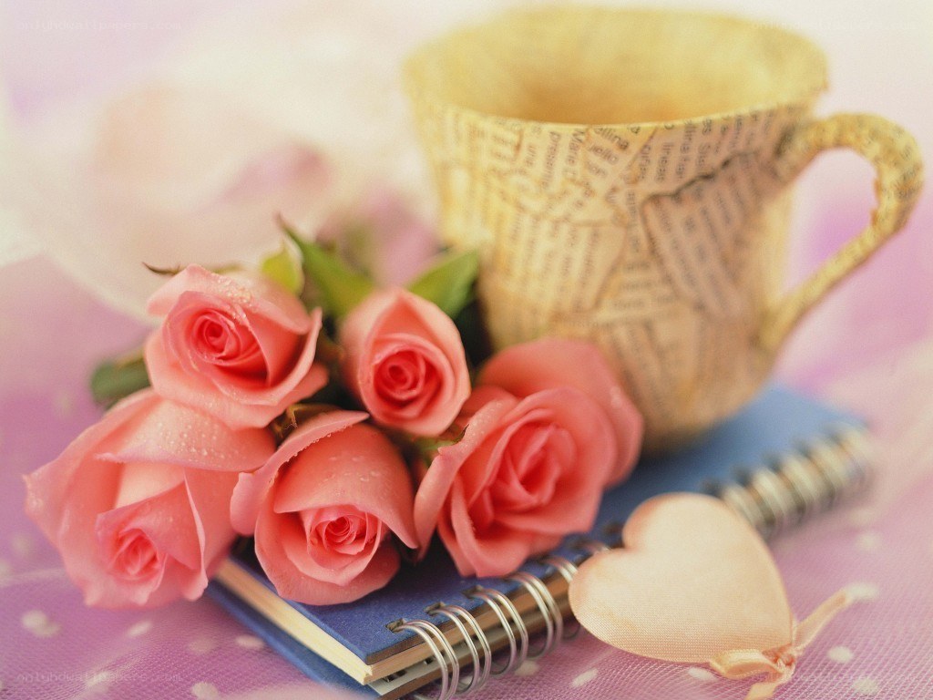 roses and a cup