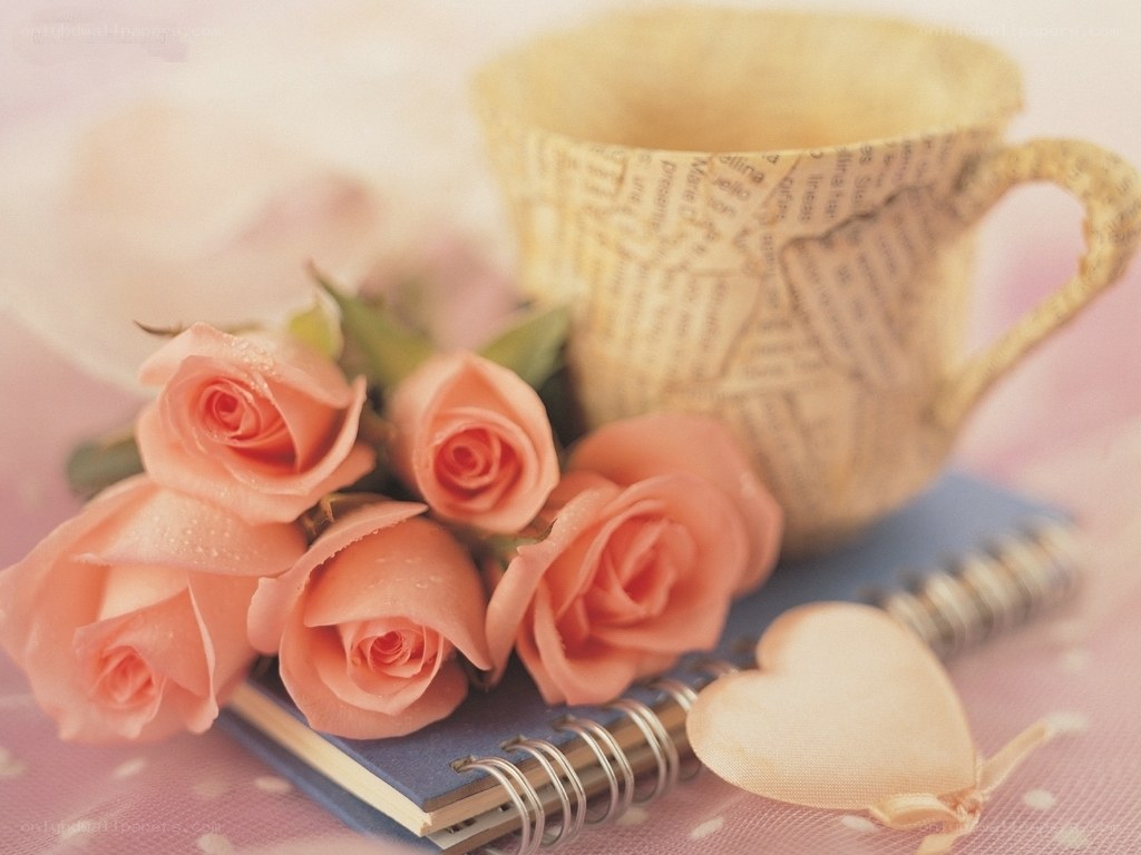 roses and a cup