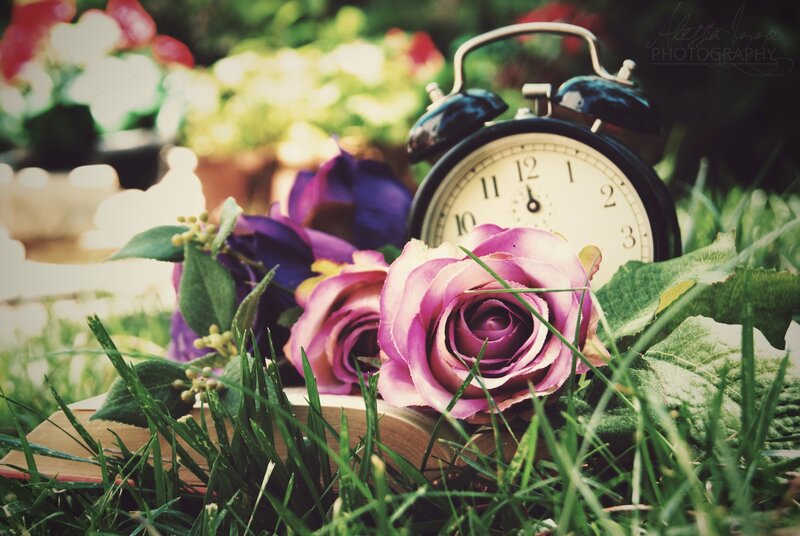 Roses and Alarm Clock