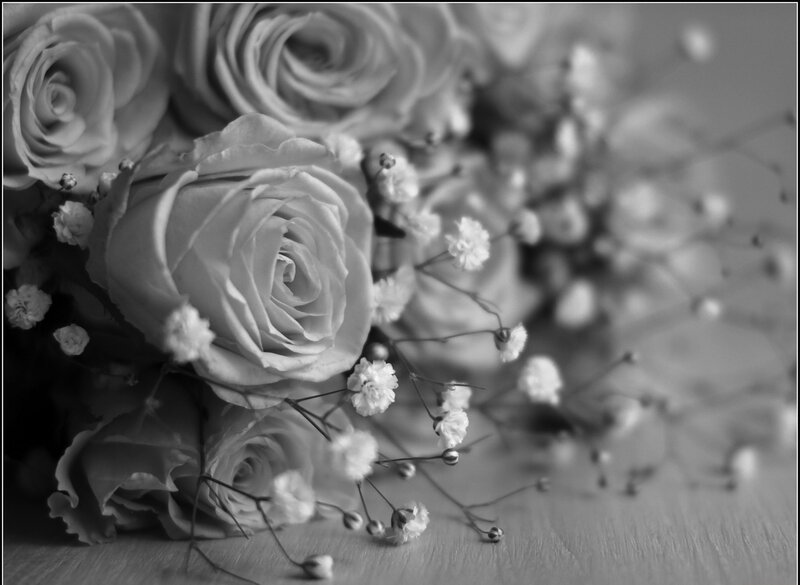Roses and Baby's Breath — Black