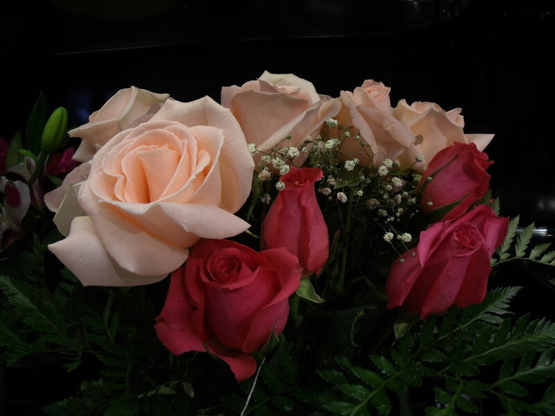 Roses and Baby's Breath — Pink, Dramatic