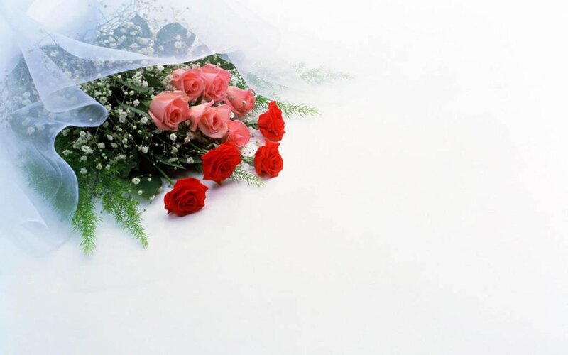 Roses and Baby's Breath — Red, Serene, Photograph