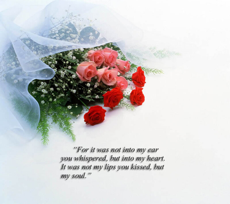 Roses and Baby's Breath — Red