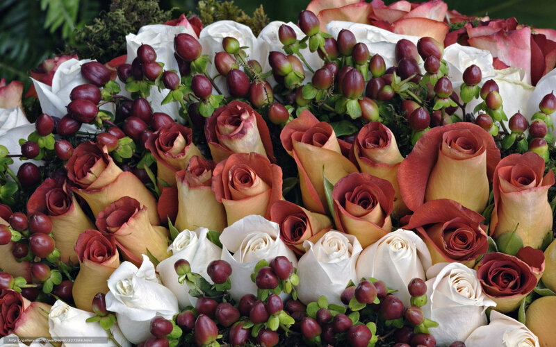 Roses and Berries Bouquet — Red, Natural