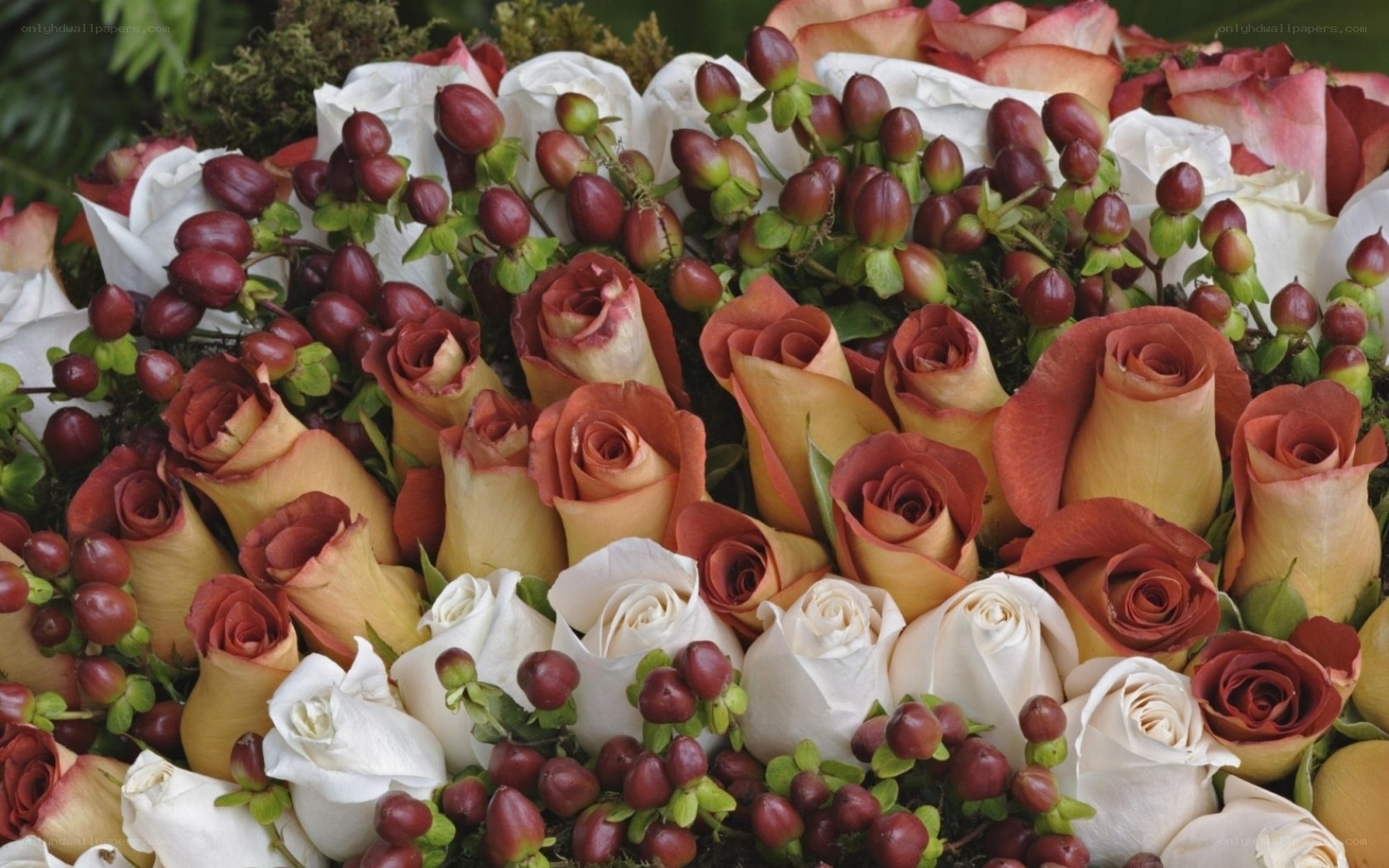 Roses and berries bouquet