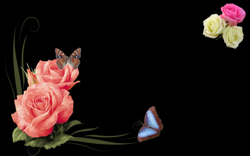 Roses and Butterflies — Black