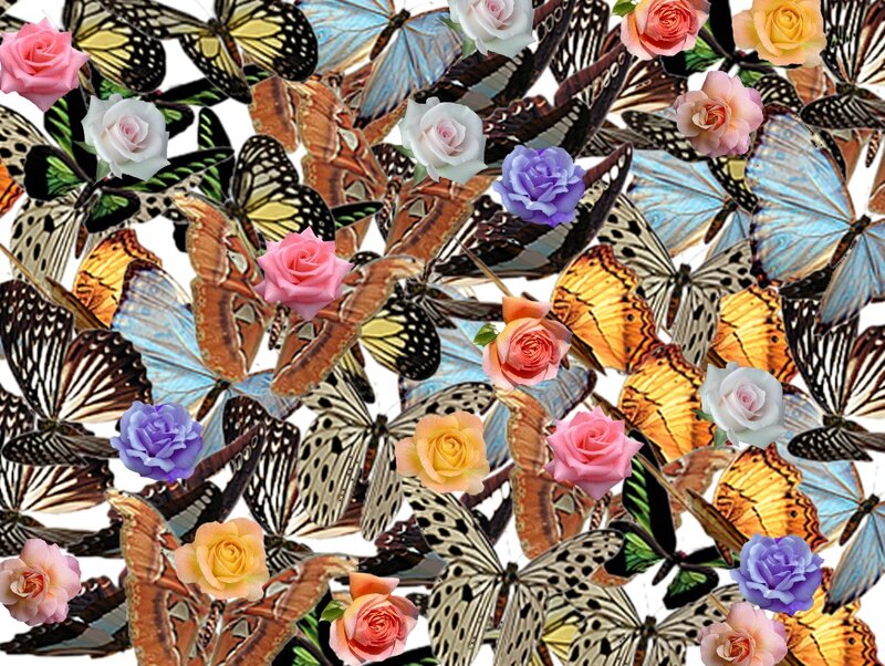 Roses and Butterflies — Pink, Colorful